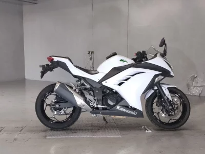 Kawasaki NINJA250