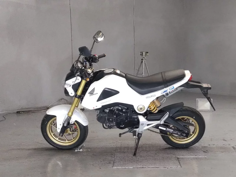 Honda GU ROM