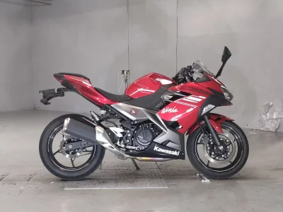 Kawasaki NINJA250