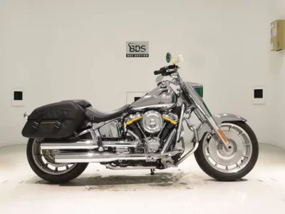 Harley-Davidson HARLEY FLSTFI1920