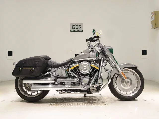 Harley-Davidson HARLEY FLSTFI1920