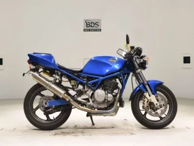 Suzuki GOOSE350