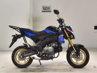 Kawasaki Z125PRO