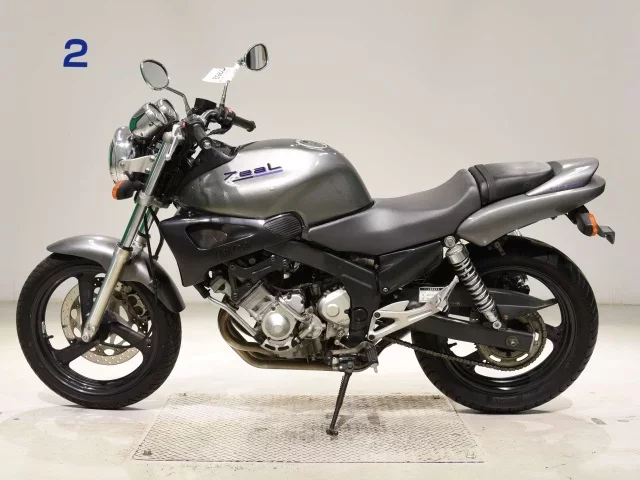 Yamaha ZEAL