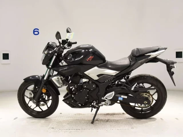 Yamaha MT-25
