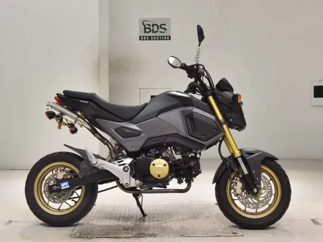 Honda GU ROM