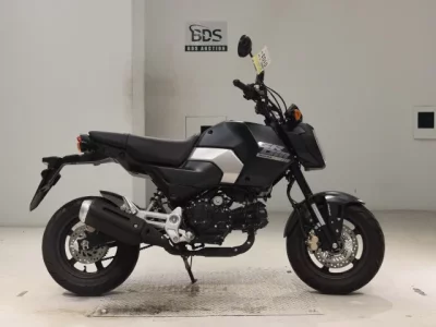Honda GU ROM -2