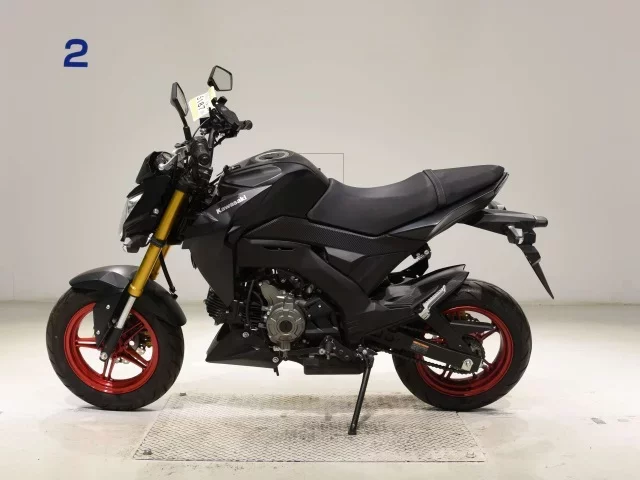 Kawasaki Z125PRO