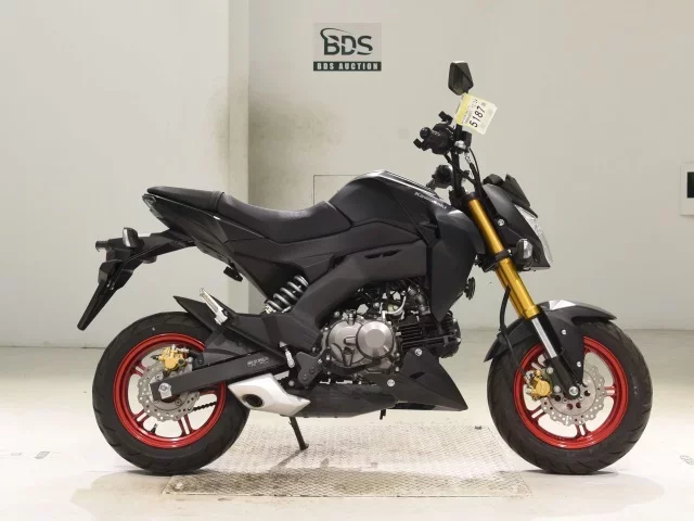 Kawasaki Z125PRO
