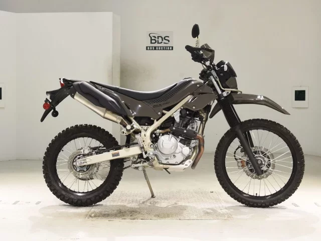 Kawasaki KLX230 SHERPA