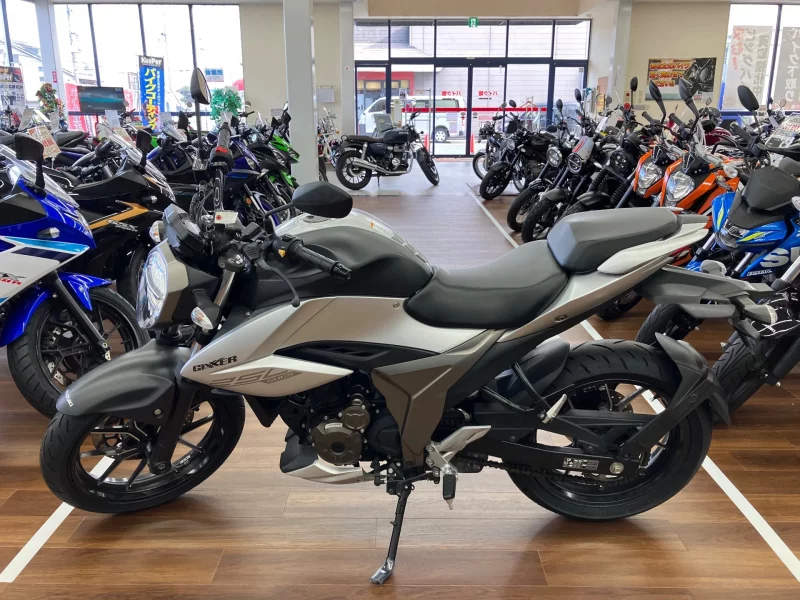 Suzuki JIKUSA-250