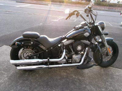 Harley-Davidson HARLEY FLS