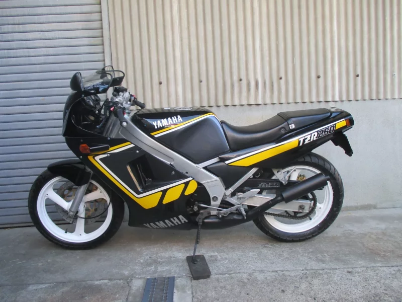 Yamaha TZR250-1