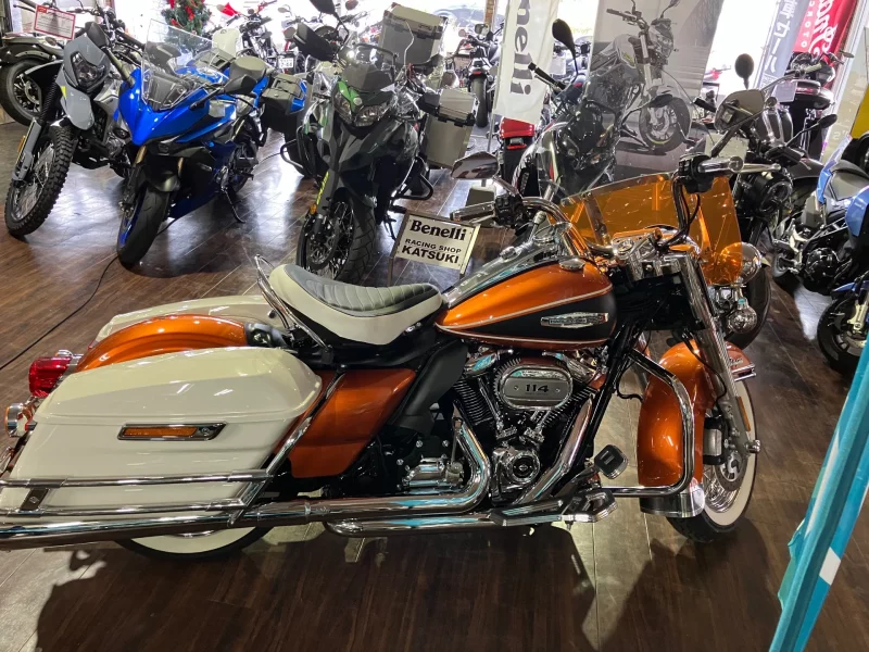 Harley-Davidson HARLEY FLHFB ELECTRAGLI