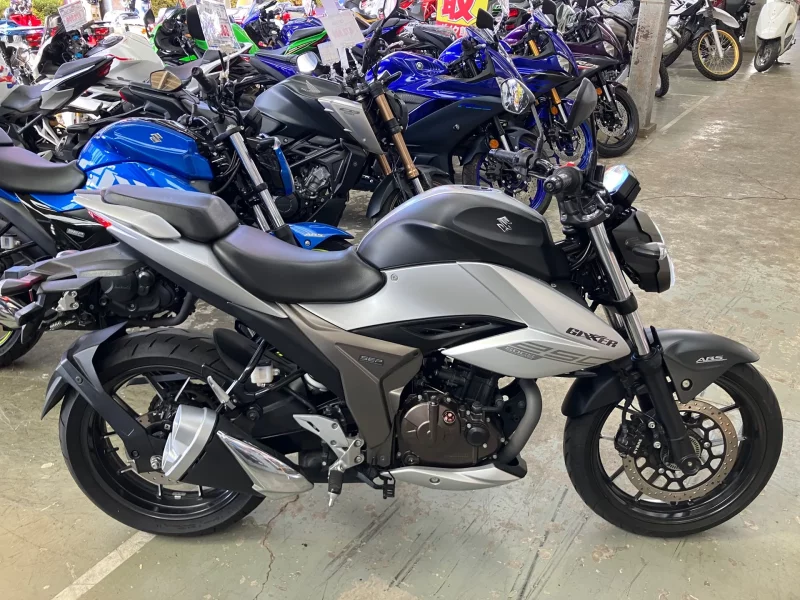 Suzuki JIKUSA-250