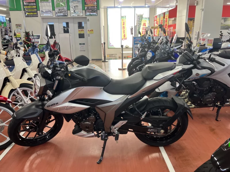 Suzuki JIKUSA-250