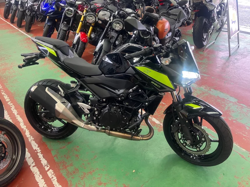 Kawasaki Z250ABS