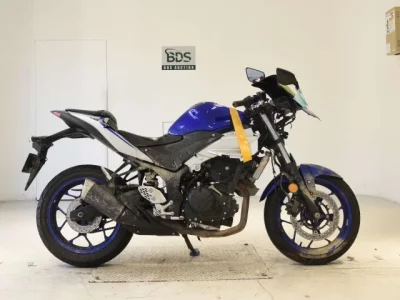 Yamaha YZF-R25