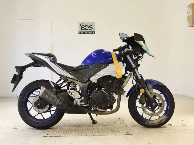 Yamaha YZF-R25
