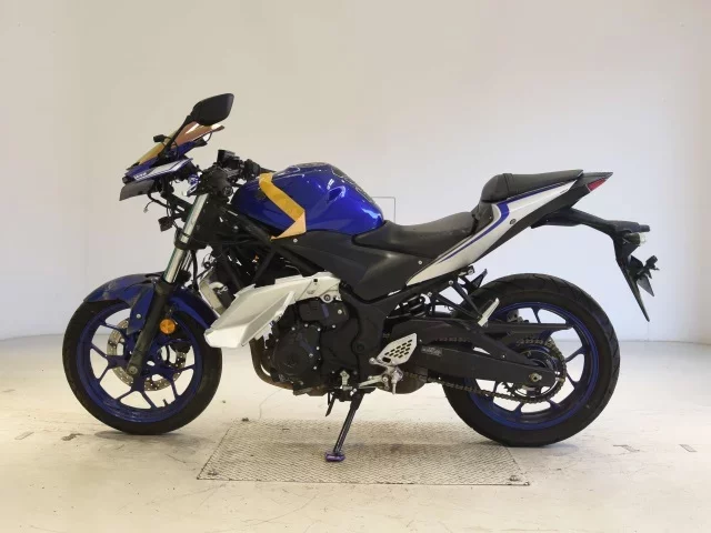 Yamaha YZF-R25