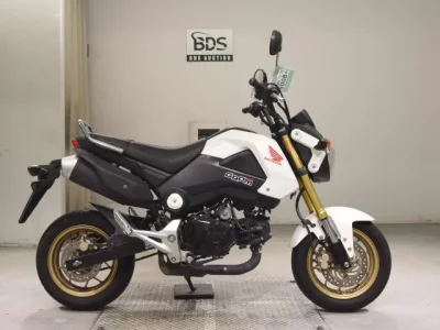 Honda GU ROM