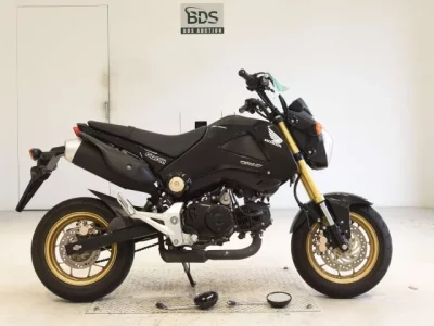 Honda GU ROM
