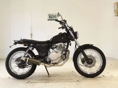 Suzuki GLASS TRACKER BIG BOY