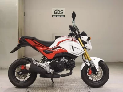 Honda GU ROM