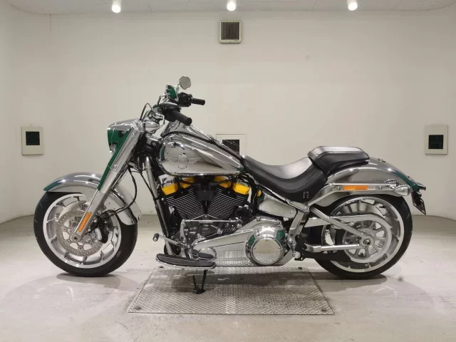 Harley-Davidson HARLEY FLSTFI1920