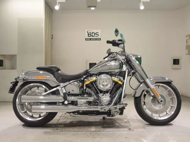 Harley-Davidson HARLEY FLSTFI1920 лот № 5157 оценка 8  с аукциона в Японии