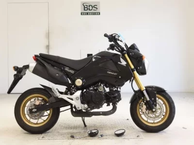 Honda GU ROM
