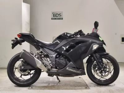 Kawasaki NINJA250