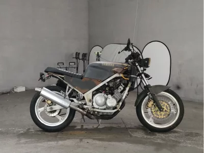 Yamaha FZR250