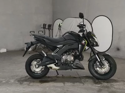 Kawasaki Z125 PRO