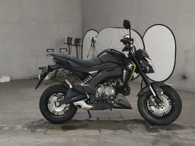 Kawasaki Z125 PRO