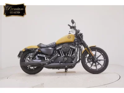 Harley-Davidson HARLEY XL883N 2019