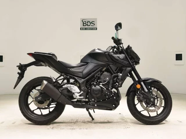 Yamaha MT-25A лот № 5160 оценка 5  с аукциона в Японии