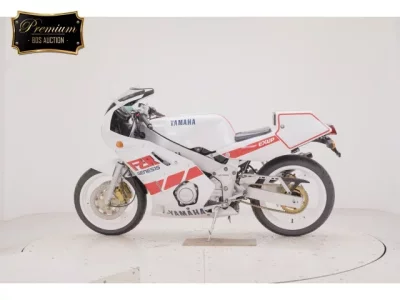 Yamaha FZR400R  с аукциона в Японии