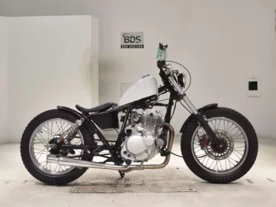 Suzuki GLASS TRACKER BIG BOY