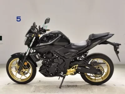 Yamaha MT-25  с аукциона в Японии
