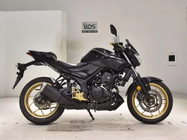 Yamaha MT-25 лот № 8162 оценка 5  с аукциона в Японии