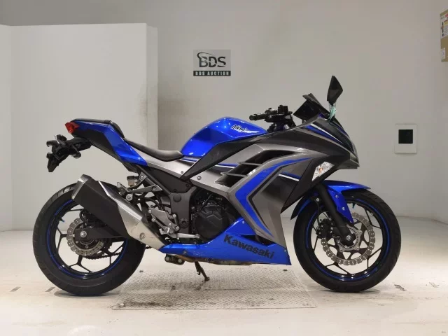 Kawasaki NINJA250ABS лот № 0340 оценка 4  с аукциона в Японии