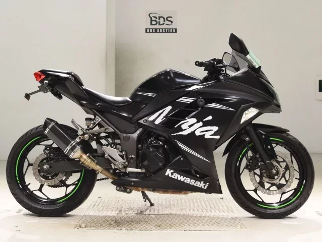 Kawasaki NINJA250ABS лот № 2850 оценка 4  с аукциона в Японии