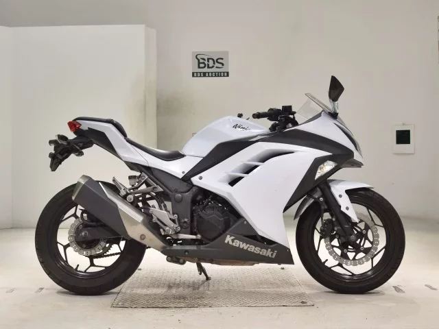 Kawasaki NINJA250 лот № 2964 оценка 4  с аукциона в Японии