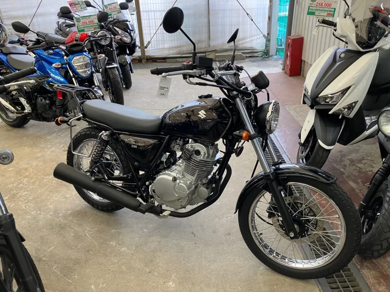 Suzuki GLASS TRACKER BIG BOY