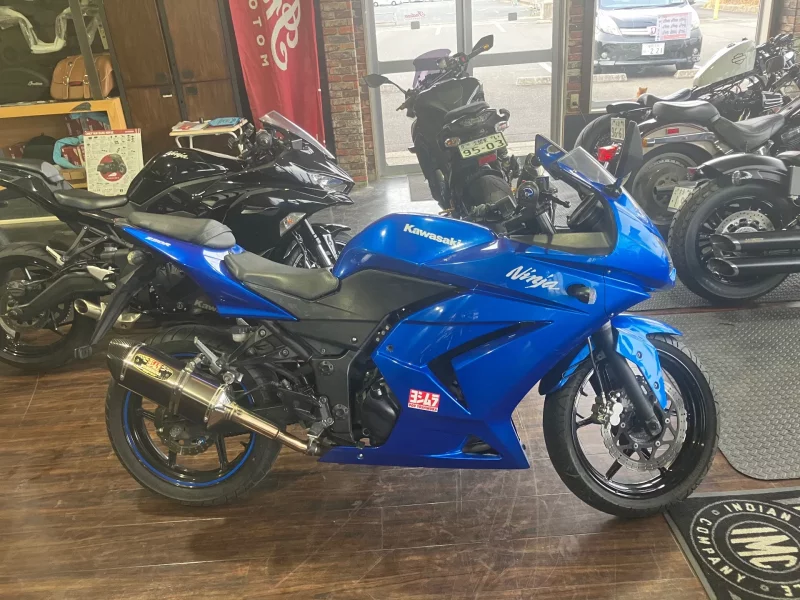 Kawasaki Ninja 250R