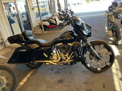 Harley-Davidson HARLEYFLHXS