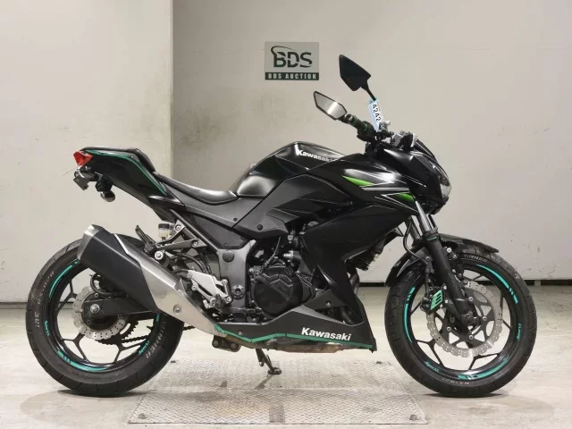 Kawasaki Z250