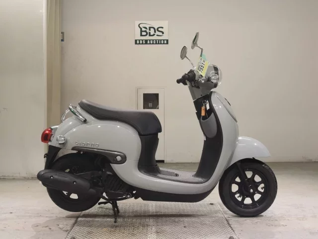 Honda GIORNO -3
