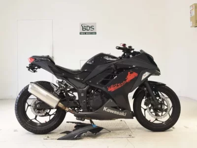 Kawasaki NINJA250